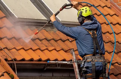 Démoussage et hydrofuge de toiture à Luneray